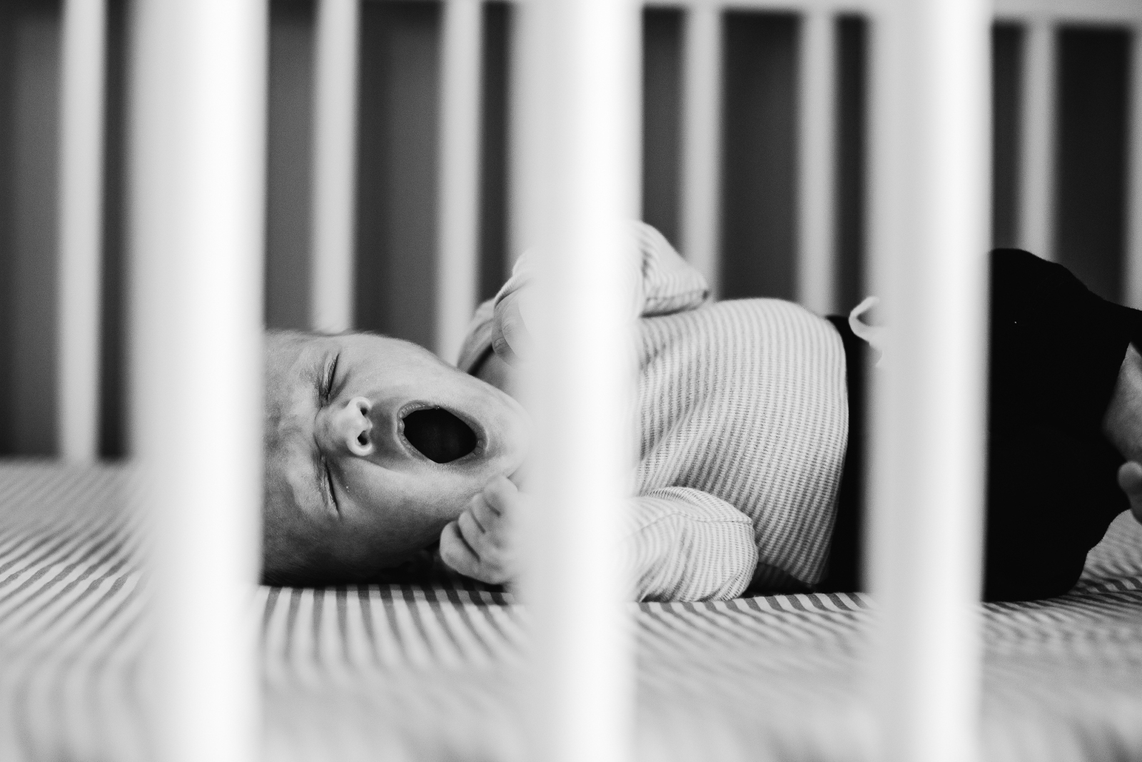 Omaha family cuddling with their newborn during their in-home newborn session with Melissa Lindquist Photography.